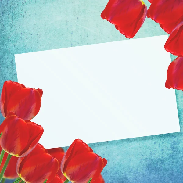 Postkarte mit Tulpen — Stockfoto