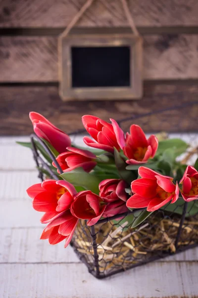 Vykort med tulpan blommor — Stockfoto