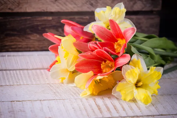 Tulpen und Narzissen — Stockfoto