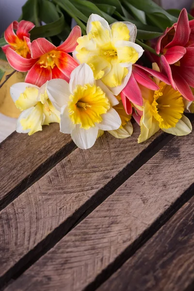 Flores frescas de primavera — Foto de Stock