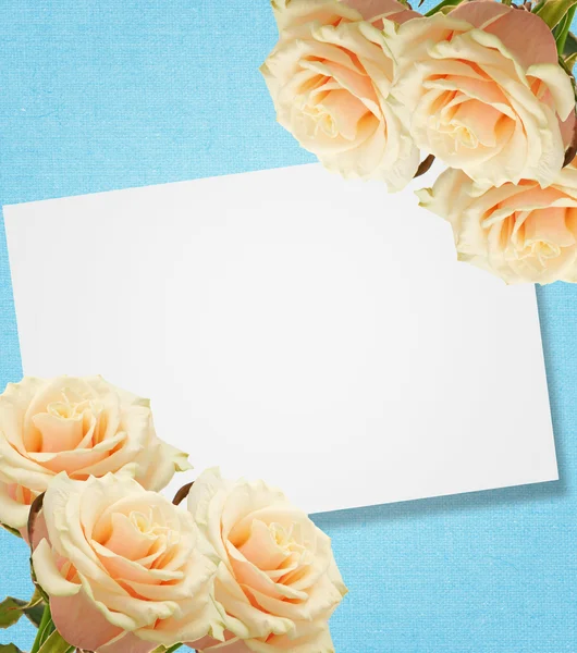 Καρτ ποστάλ με κομψό τριαντάφυλλα — Φωτογραφία Αρχείου