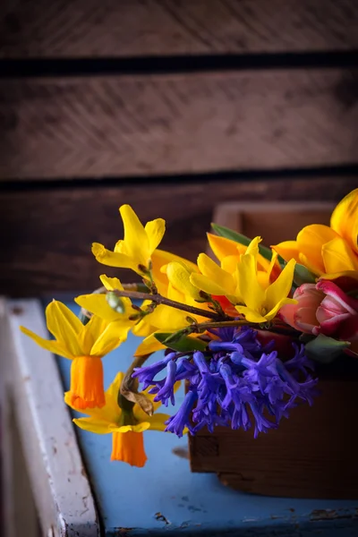 Färska vårblommor — Stockfoto