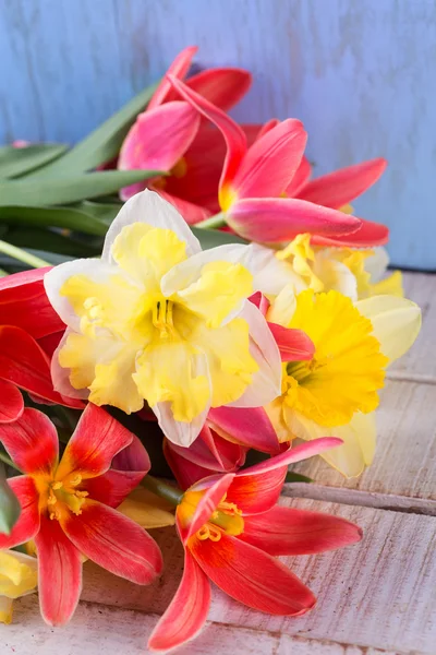 Cartão postal com flores da primavera — Fotografia de Stock