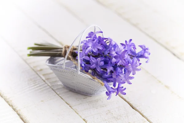 Flores de primavera — Foto de Stock