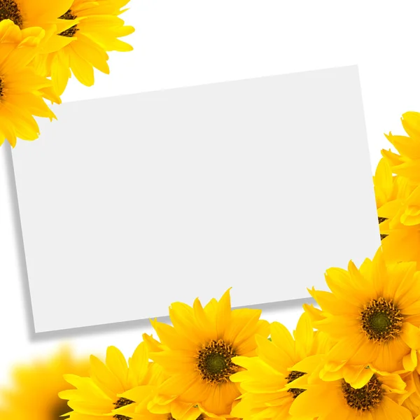 Postcard with flowers — Stock Photo, Image