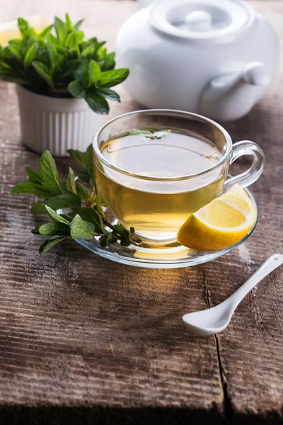 Té de hierbas frescas en taza — Foto de Stock