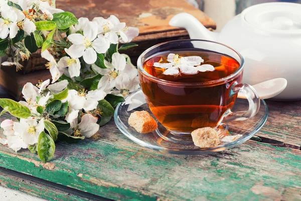 Cup of fresh herbal tea — Stock Photo, Image