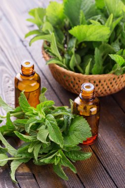 temel aroma yağı ile peppermin