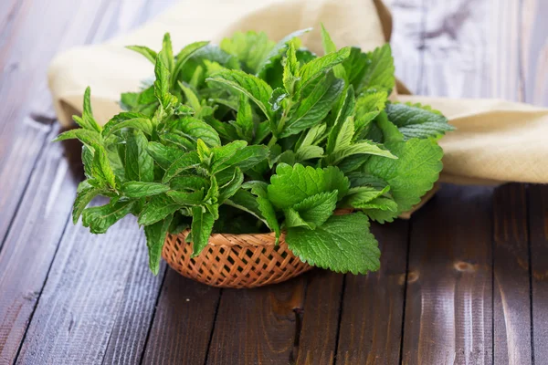 Fresh green melissa and mint — Stock Photo, Image
