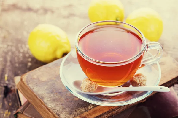 Cup of fresh herbal tea — Stock Photo, Image