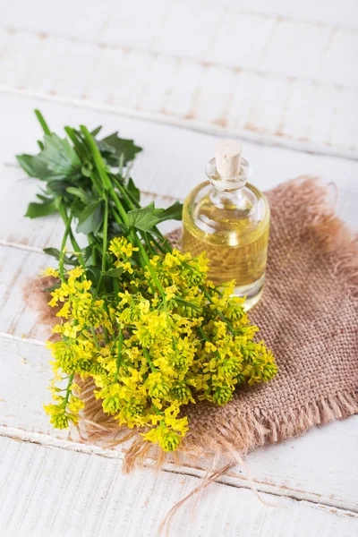 Rapeseed oil — Stock Photo, Image