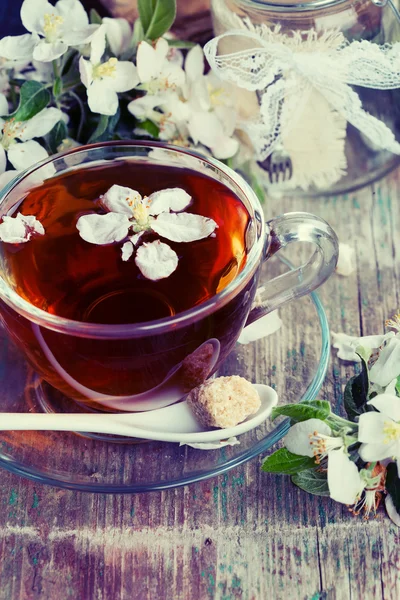 Herbal tea — Stock Photo, Image