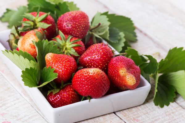 Frische Bio-Erdbeere — Stockfoto