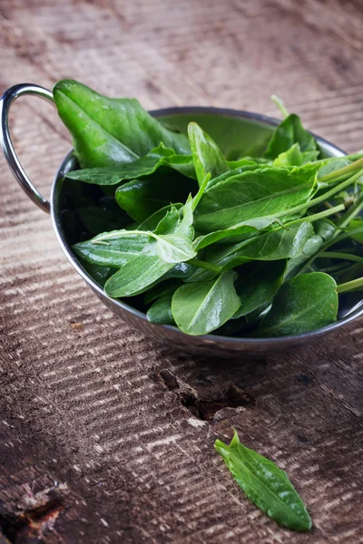 Organik kuzukulağı