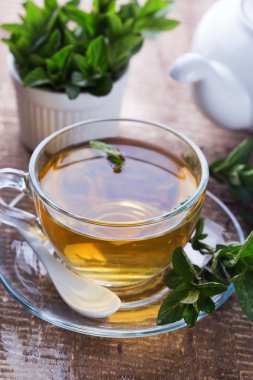 Taze bitki çayı