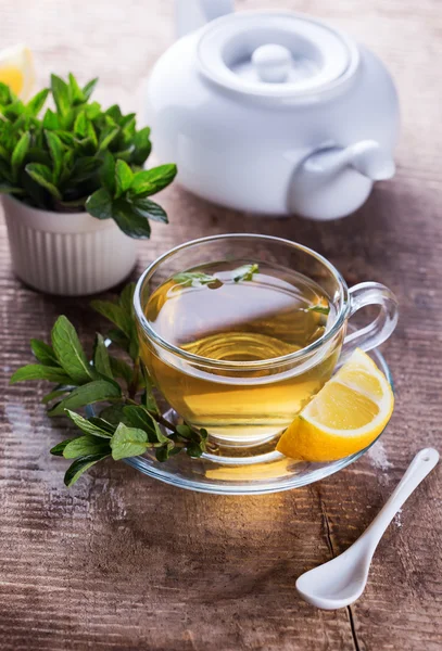 Herbal tea with mint — Stock Photo, Image
