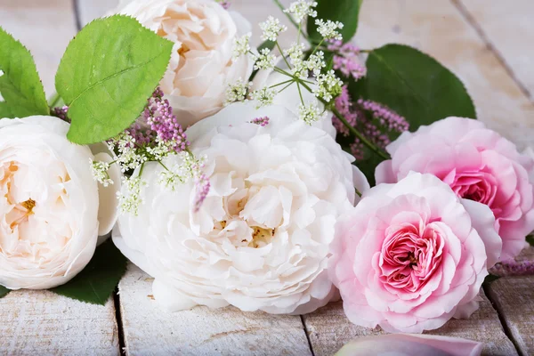 Elegant  flowers — Stock Photo, Image