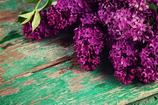 Färska lila blommor — Stockfoto