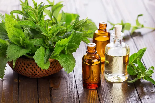 Ätherisches Aromaöl — Stockfoto