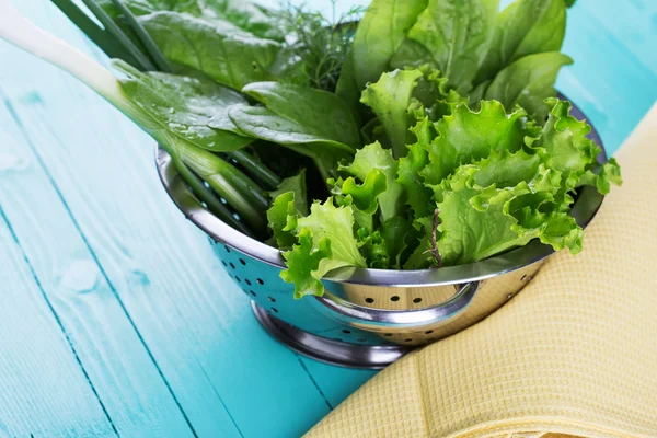 Färska örter för sallad — Stockfoto