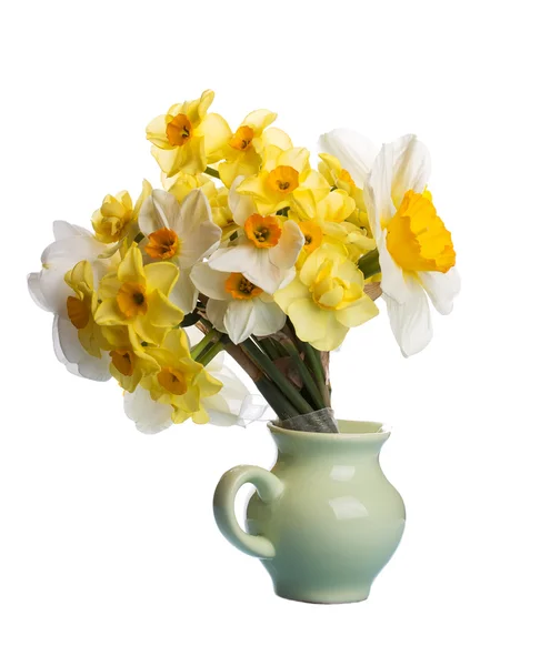 Φρέσκο daffodils — Φωτογραφία Αρχείου