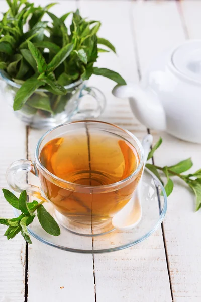 Té de hierbas frescas — Foto de Stock