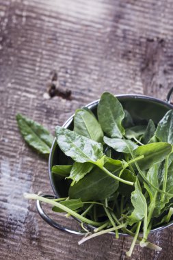 Organik kuzukulağı