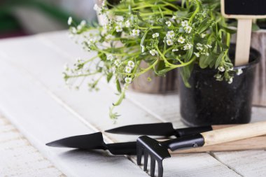 çiçek ve Bahçe aletleri
