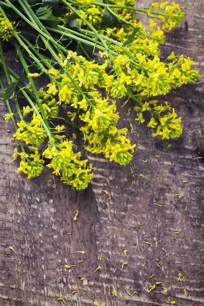 Vilda blommor — Stockfoto