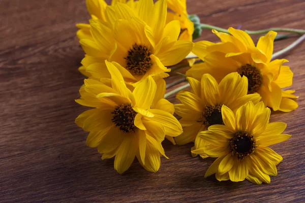 Φρέσκα κίτρινα λουλούδια — Φωτογραφία Αρχείου