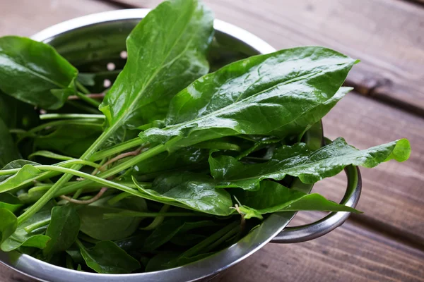 Fresh sorrel — Stock Photo, Image