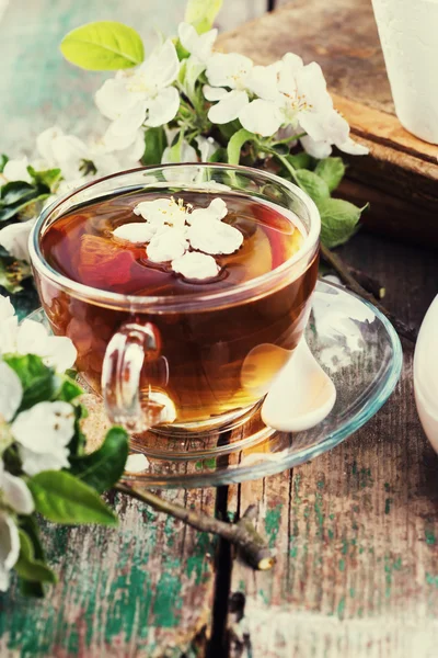 Fresh herbal tea — Stock Photo, Image