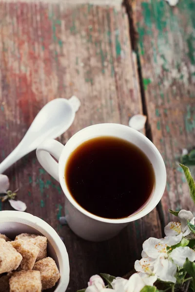 Té de hierbas frescas — Foto de Stock