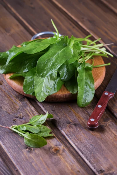 Fresh organic sorrel — Stock Photo, Image