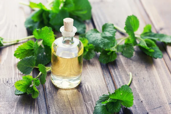 Olio aromatico essenziale — Foto Stock