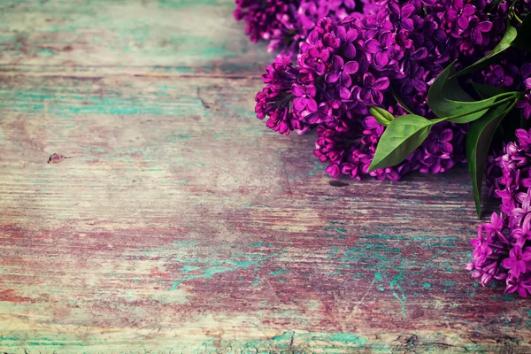 Fresh lilac — Stock Photo, Image