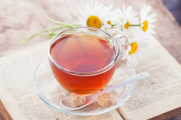 Tea with chamomile — Stock Photo, Image