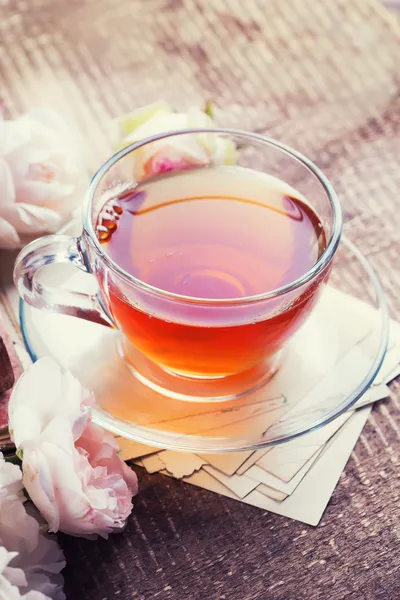 Taze bitkisel çay — Stok fotoğraf