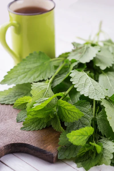 Leaves of melissa and tea — Stock Photo, Image