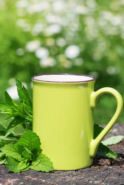 Cup of fresh tea — Stock Photo, Image