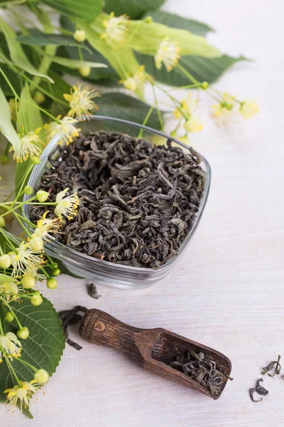 Dry tea with linden — Stock Photo, Image