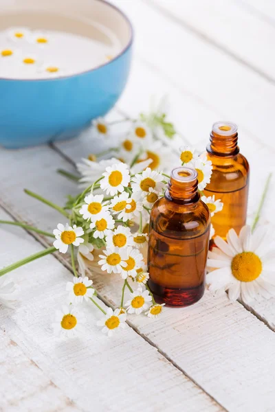 Aroma oil with chamomile — Stock Photo, Image