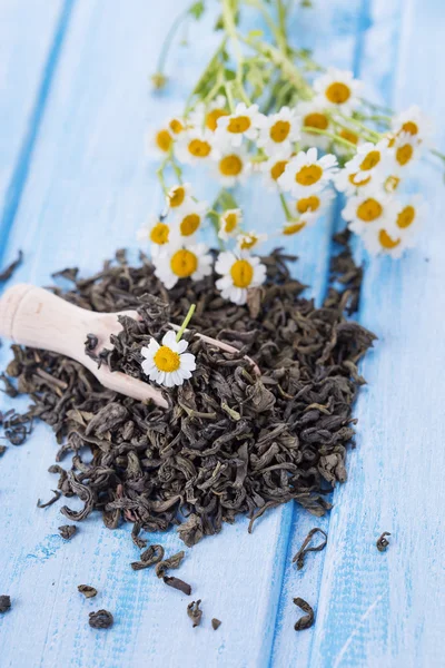 Suchej herbaty z rumianku — Zdjęcie stockowe