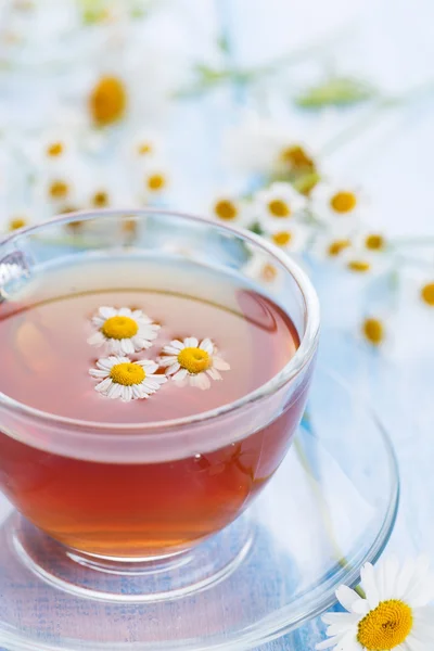 Fresh herbal tea — Stock Photo, Image