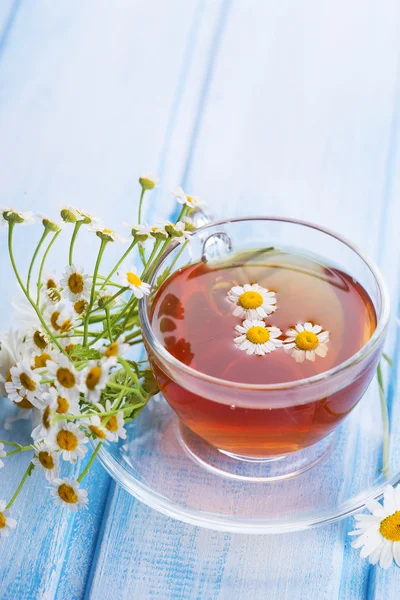 Fresh herbal tea — Stock Photo, Image