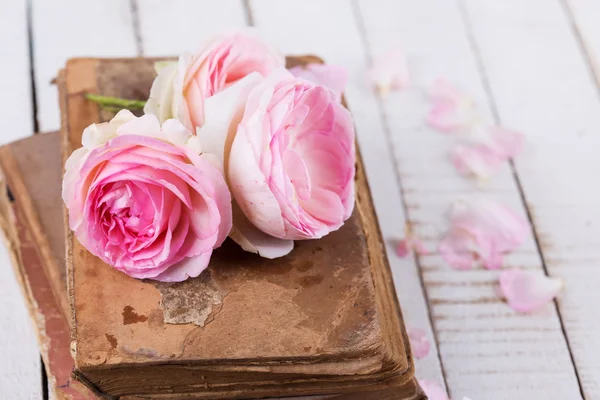 Rosas y libros — Foto de Stock