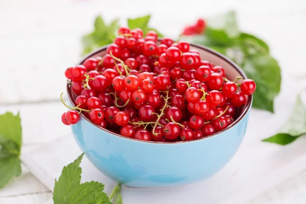 Red currant — Stock Photo, Image