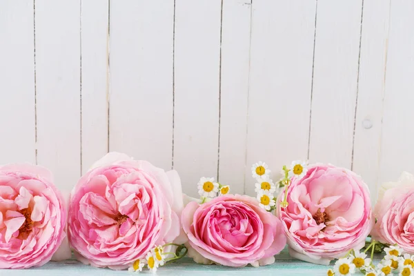 Roses and chamomile — Stock Photo, Image