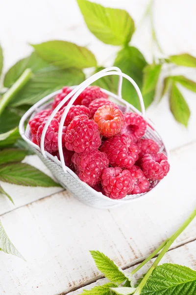 Himbeeren im Eimer — Stockfoto