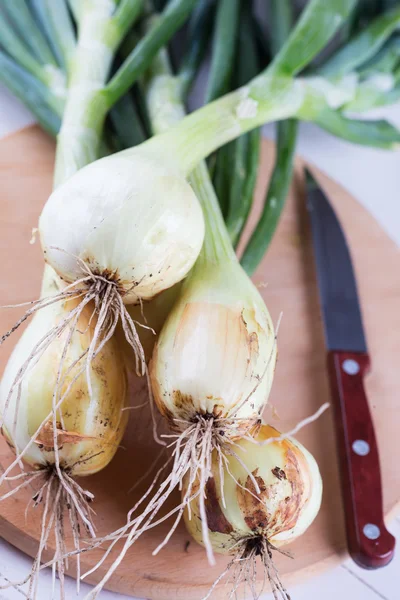 Cebolla orgánica fresca — Foto de Stock